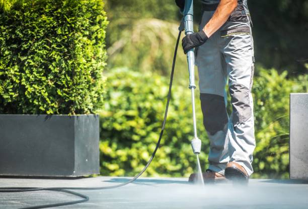 Best Fence Cleaning  in Nellysford, VA